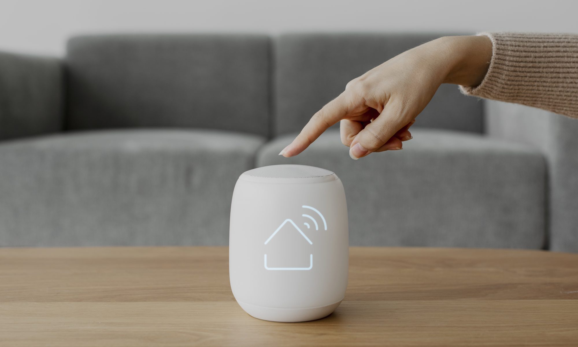 Smart speaker for a smart home