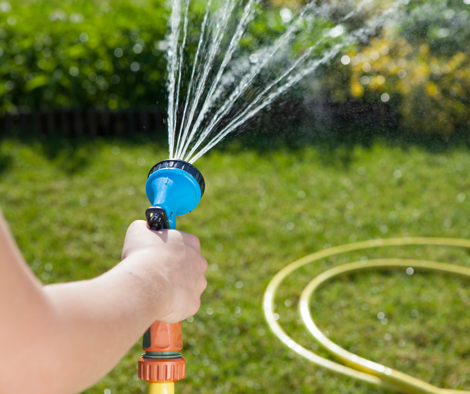 Tenant performs garden maintenance by watering their lawn and hedges with a hose