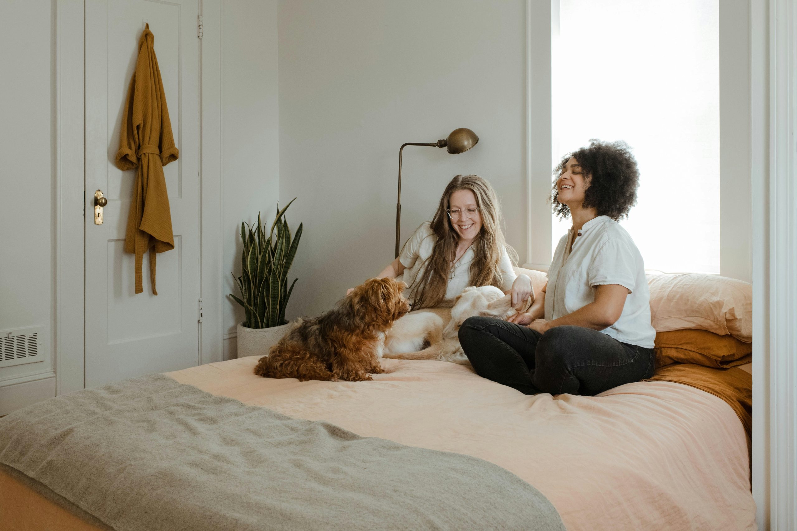 PAWS AND PEACE OF MIND: NSW rental laws just got friendlier